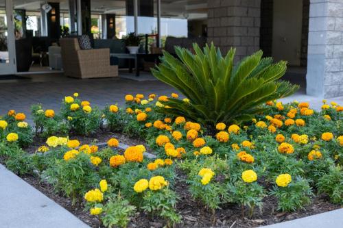Carlsbad Seapointe Resort Property Firepit area 2023 4